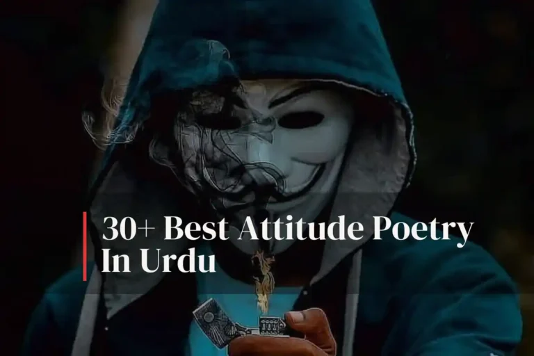 30+ Best Attitude Poetry In Urdu