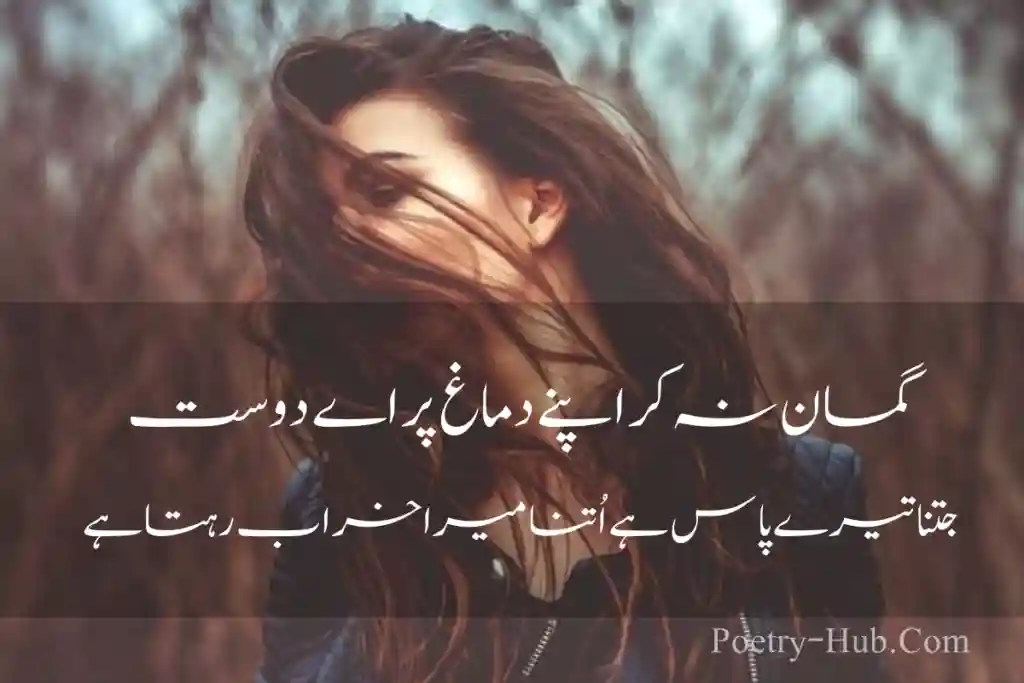 Best Attitude Poetry In Urdu Image  By Poetry Hub