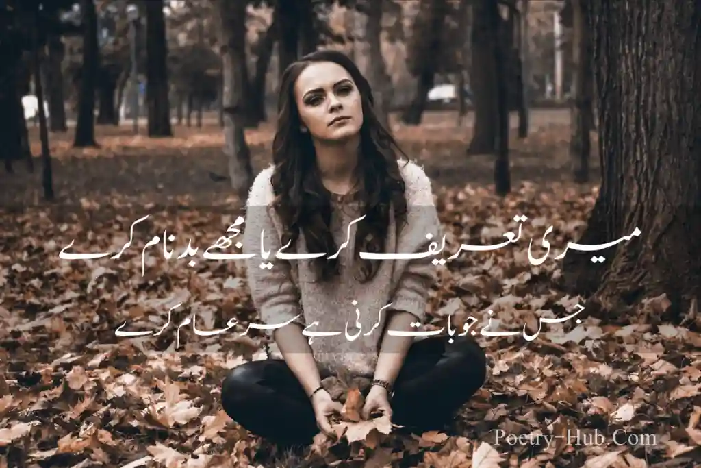 Best Attitude Poetry In Urdu Image  By Poetry Hub