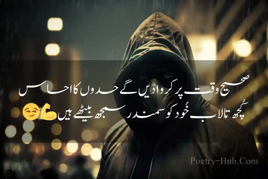 30+ Best Attitude Poetry In Urdu - Poetry Hub