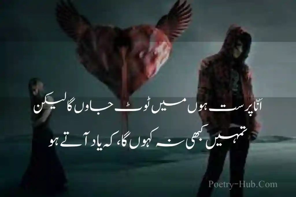 Best Attitude Poetry In Urdu Image  By Poetry Hub