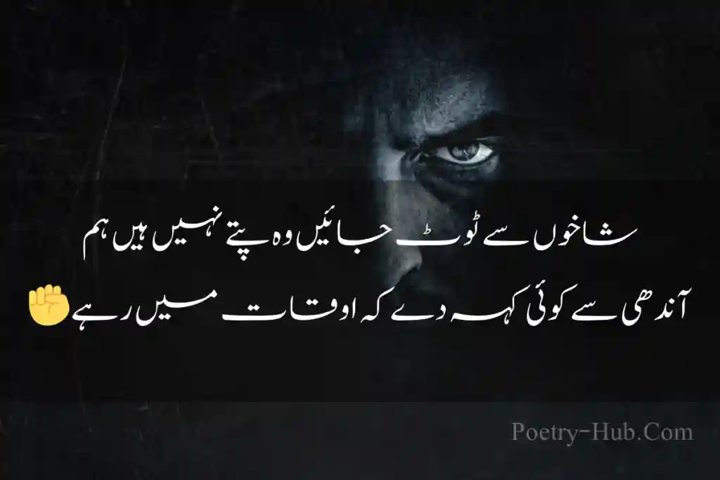 Attitude Poetry In Urdu