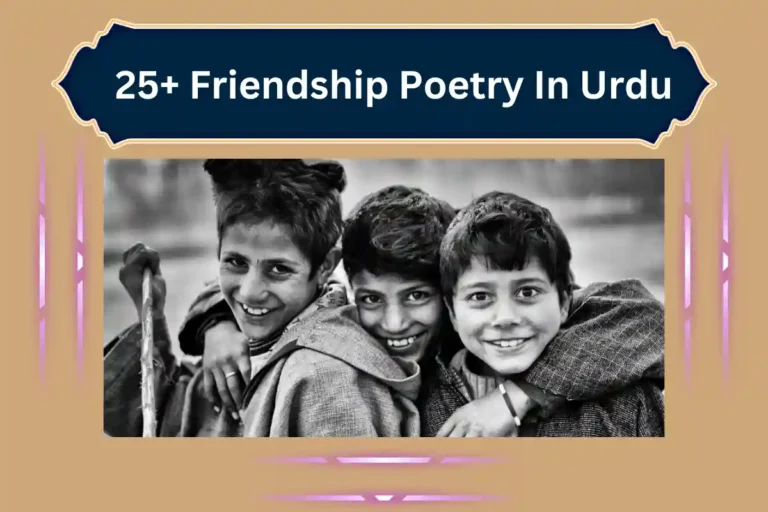 25+ Friendship Poetry In Urdu – Best Dosti Shayari